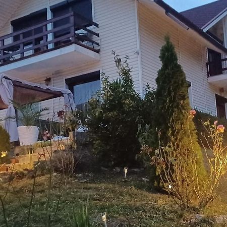 Casa Irina Villa Piatra Neamt Luaran gambar