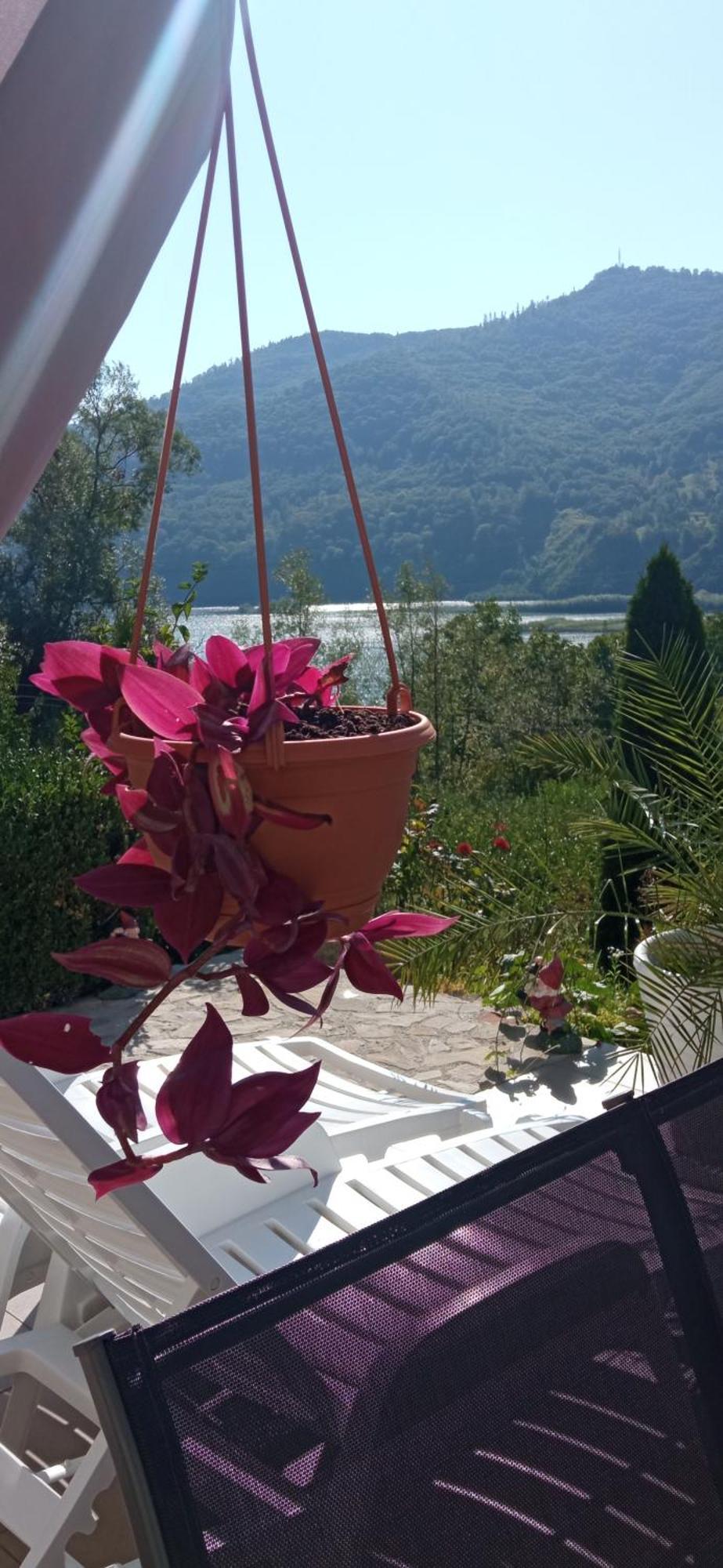 Casa Irina Villa Piatra Neamt Luaran gambar