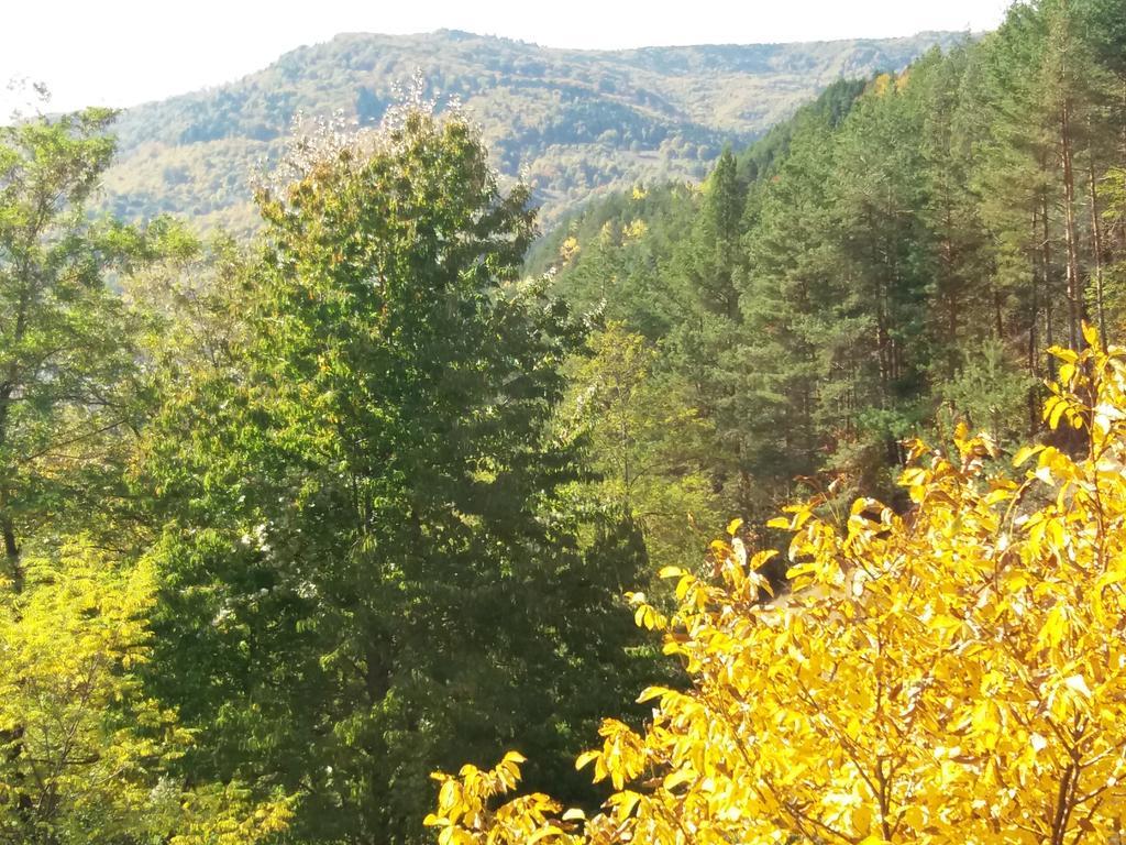 Casa Irina Villa Piatra Neamt Luaran gambar