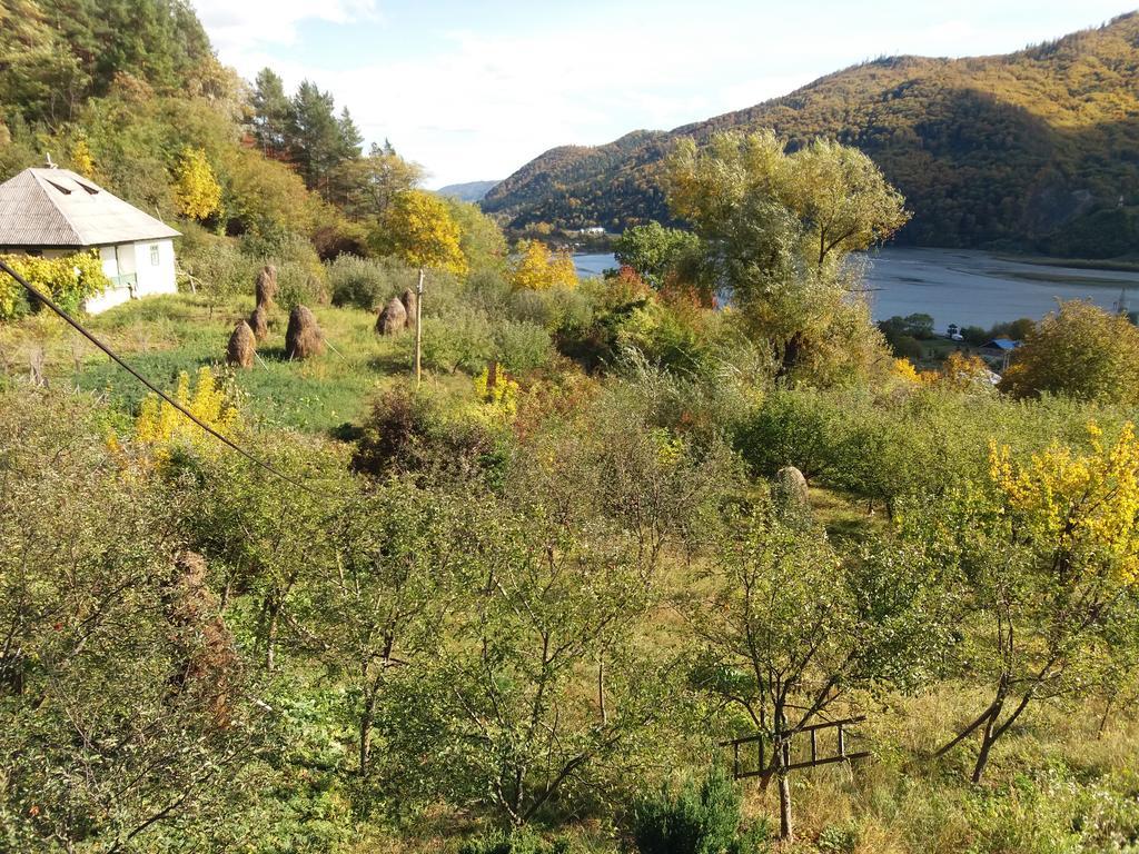 Casa Irina Villa Piatra Neamt Luaran gambar