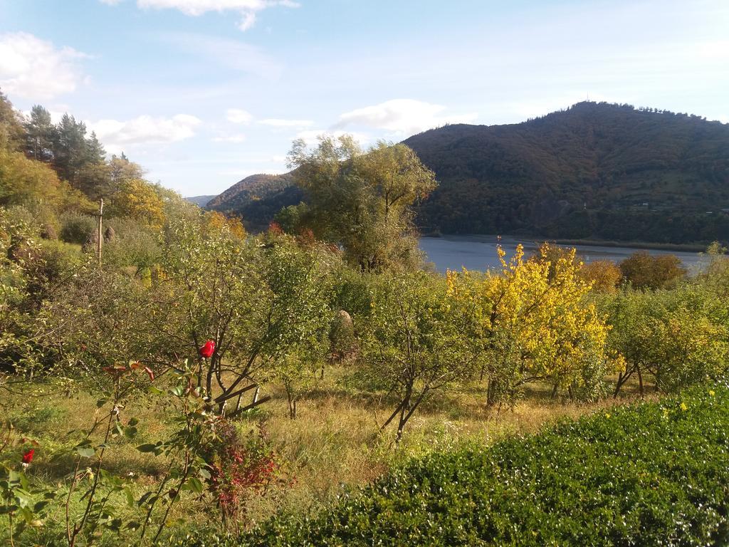 Casa Irina Villa Piatra Neamt Luaran gambar