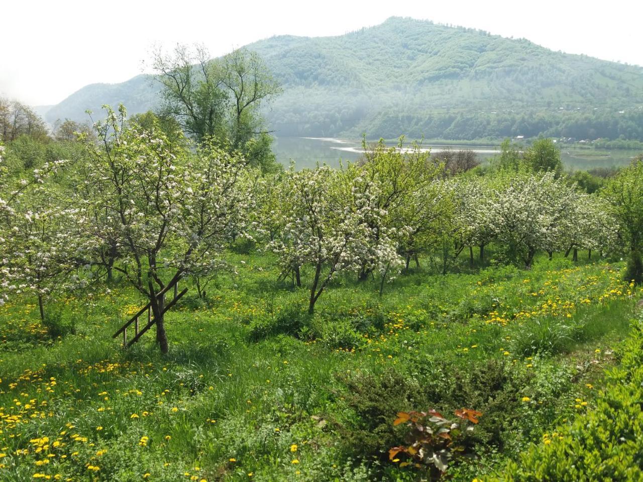 Casa Irina Villa Piatra Neamt Luaran gambar